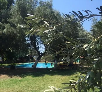 Bahar Bahce Datça