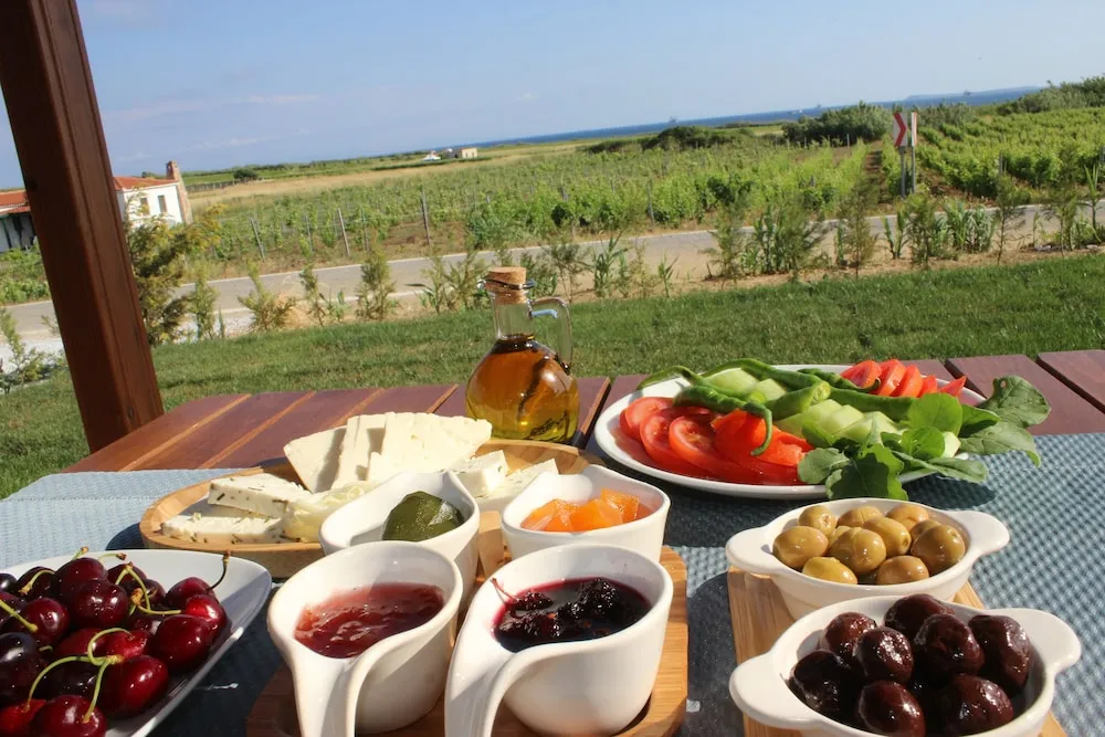 Bozcaada Defne Bag Evi