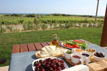 Bozcaada Defne Bag Evi