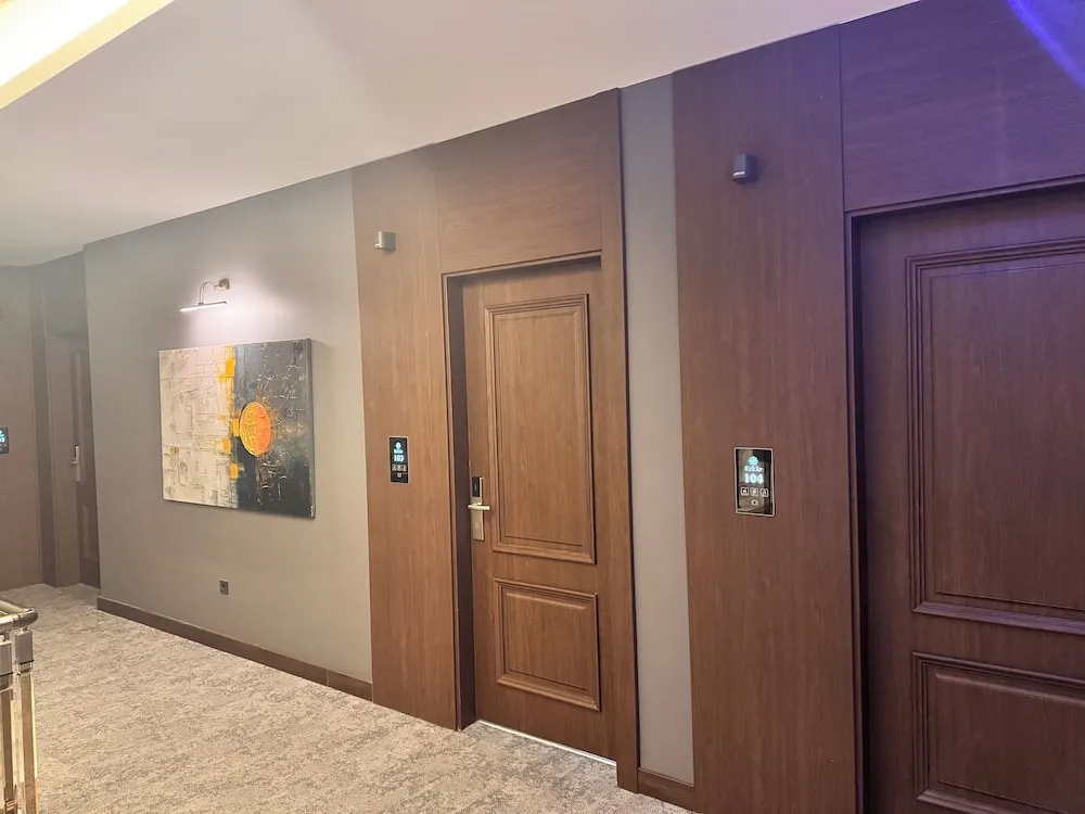 Deluxe Tek Kişilik Oda, Şehir Manzaralı