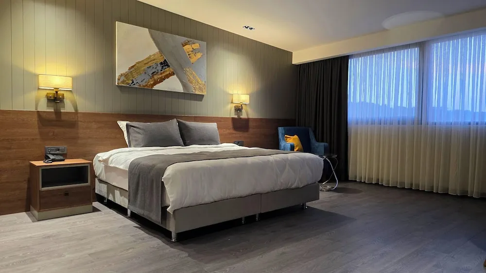 Deluxe Tek Kişilik Oda, Şehir Manzaralı