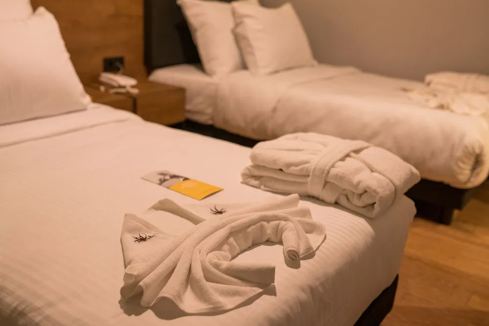 Deluxe Apart Room - SKI PACKAGE