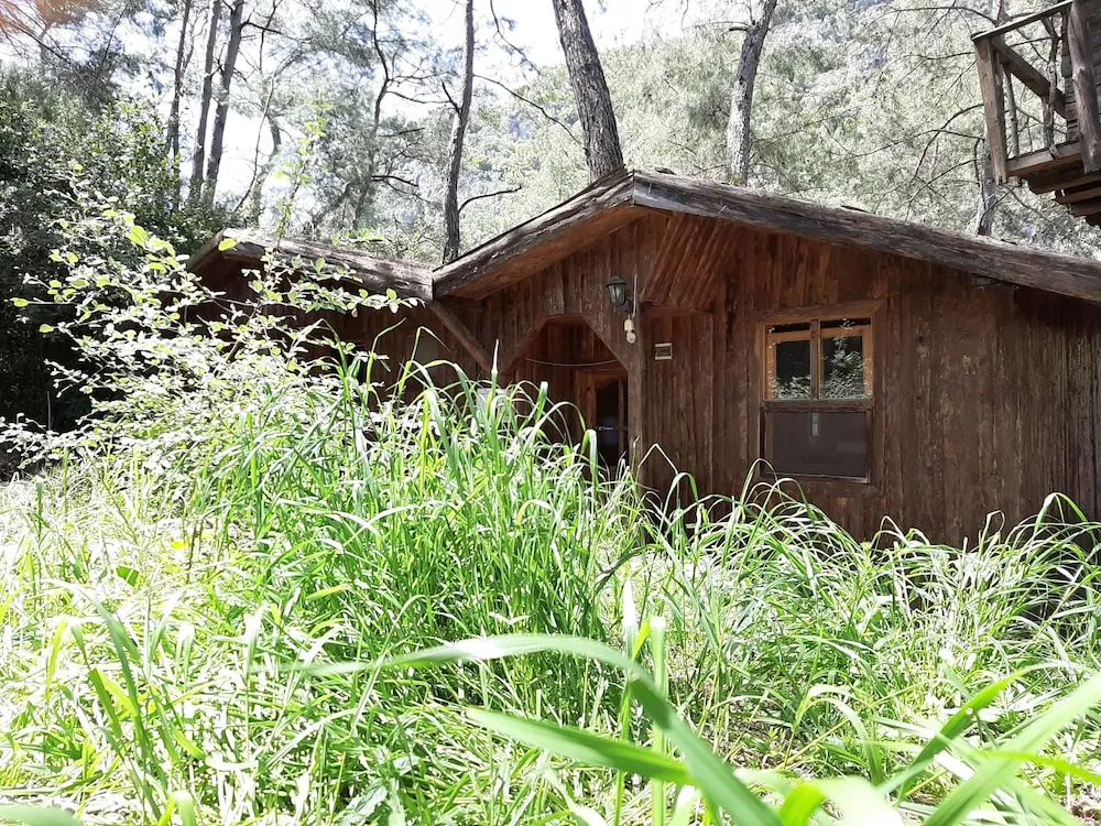 Bungalov
