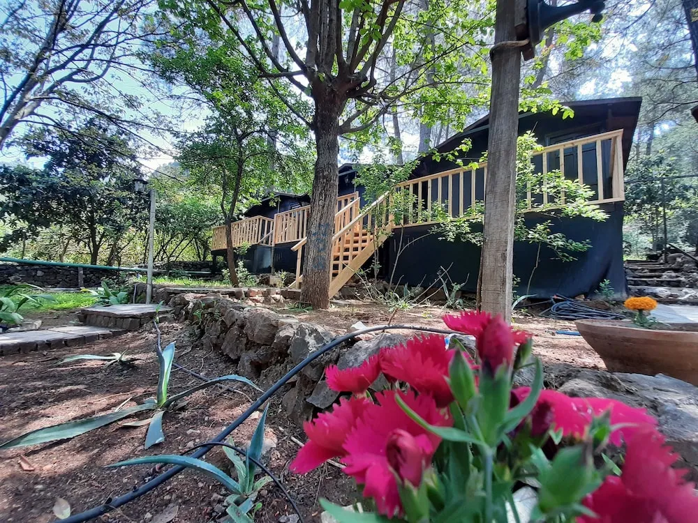 Altaris Bungalows Olympos