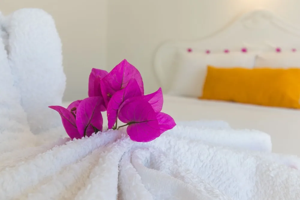 Standard Tek Büyük Yataklı Oda, 1 Büyük (Queen) Boy Yatak, Kısmi Deniz Manzaralı