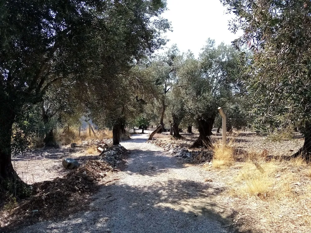 Family Villa, 1 Yatak Odası, Mutfak, Dağ Manzaralı