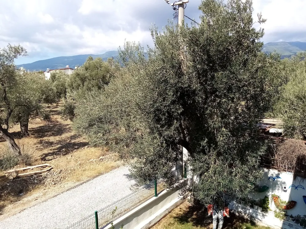 Family Villa, 1 Yatak Odası, Mutfak, Dağ Manzaralı