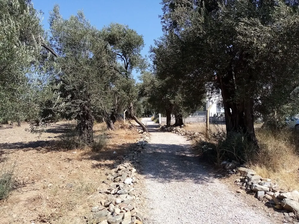 Family Villa, 1 Yatak Odası, Mutfak, Dağ Manzaralı