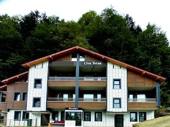 Liva Teras