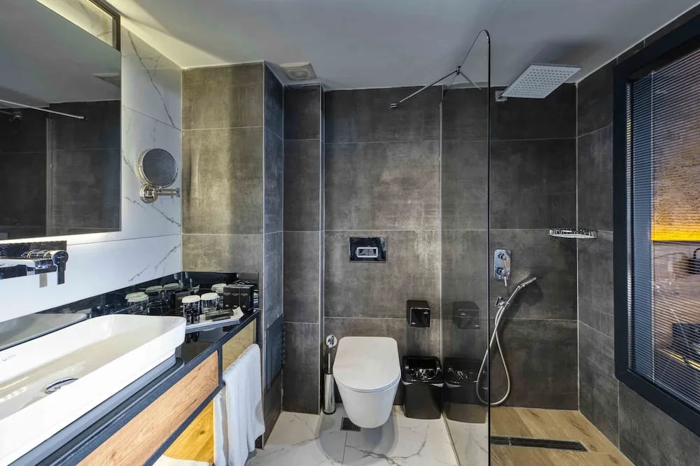 Deluxe İki Ayrı Yataklı Oda, Şehir Manzaralı