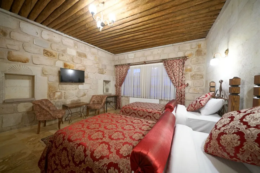 Deluxe İki Ayrı Yataklı Oda, 2 Tek Kişilik Yatak, Sigara İçilmez, Şehir Manzaralı