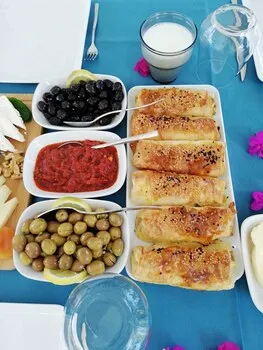 Karia Konuk Evi