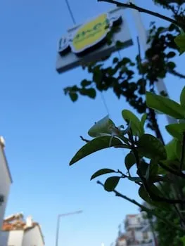 Limon Pansiyon