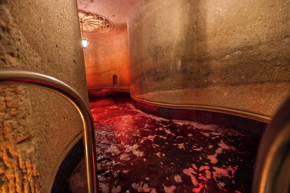 Signature Süit, 1 Çift Kişilik Yatak (Pool)