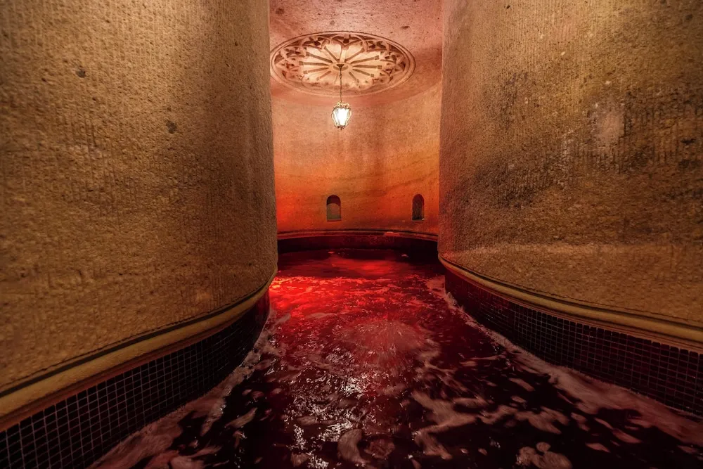 Signature Süit, 1 Çift Kişilik Yatak (Pool)