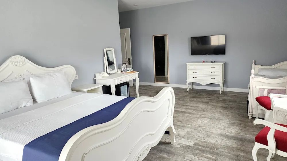 Deluxe Tek Büyük Yataklı Oda