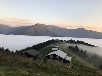 Tanevit Dag Evi