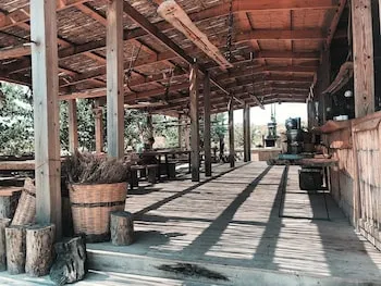 Vadi Alacati