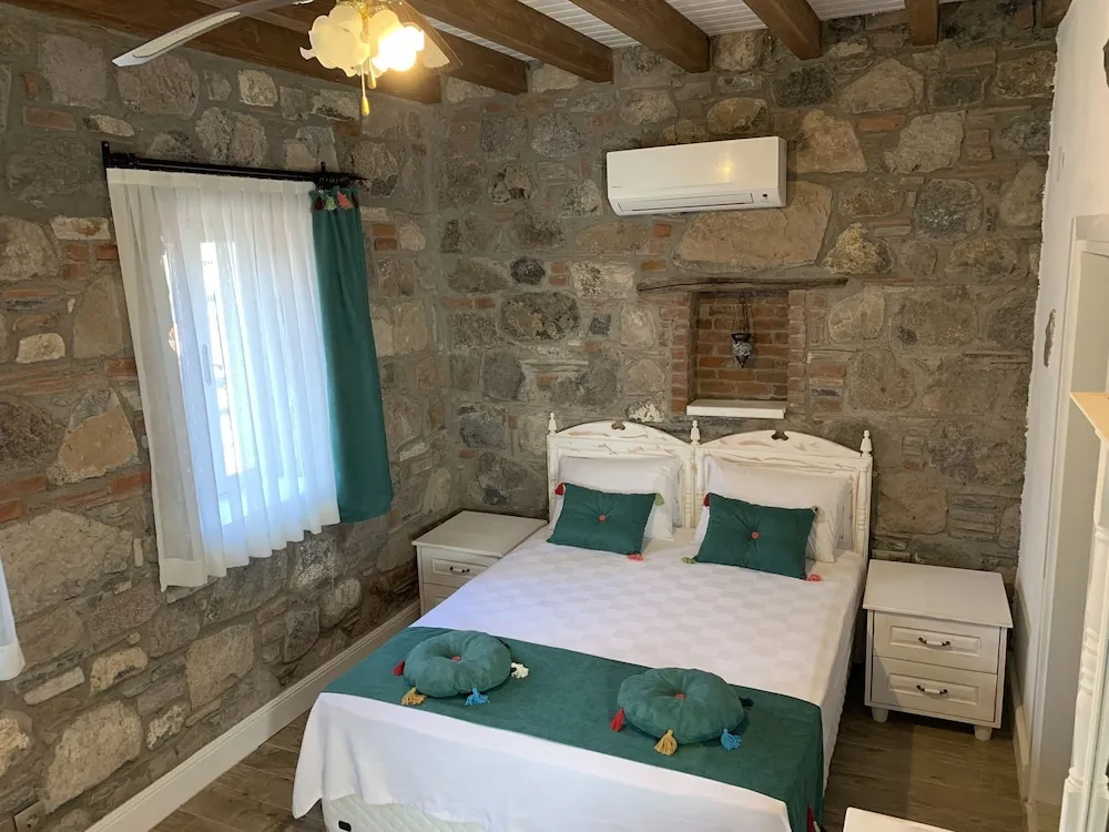 Standard Oda (Zeytin)