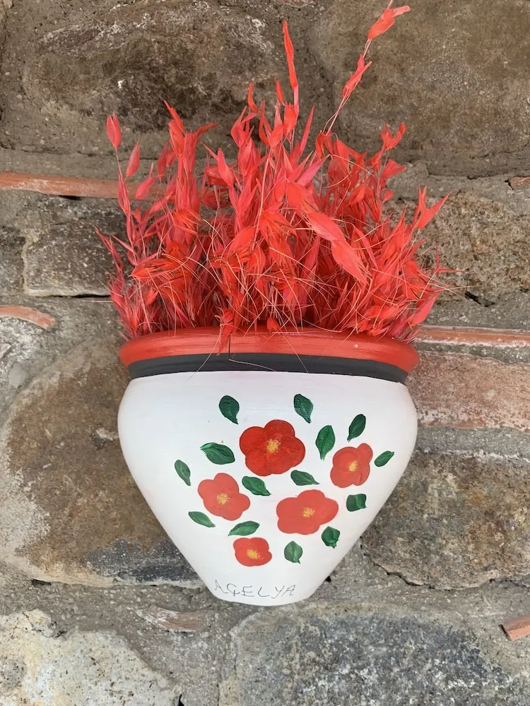 Standard Oda (Acelya)