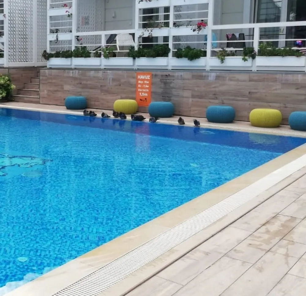Havuz Kenari Ozel Verandali Oda