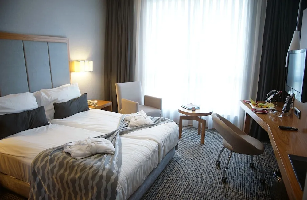 Standard Tek Büyük Yataklı Oda, Şehir Manzaralı