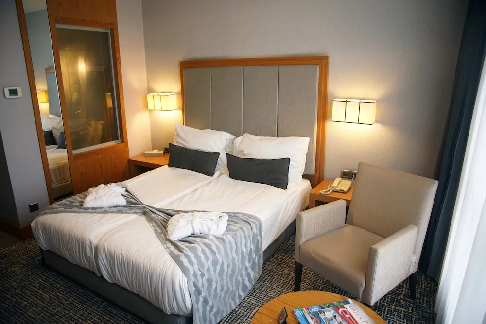 Standard Tek Büyük Yataklı Oda, Şehir Manzaralı