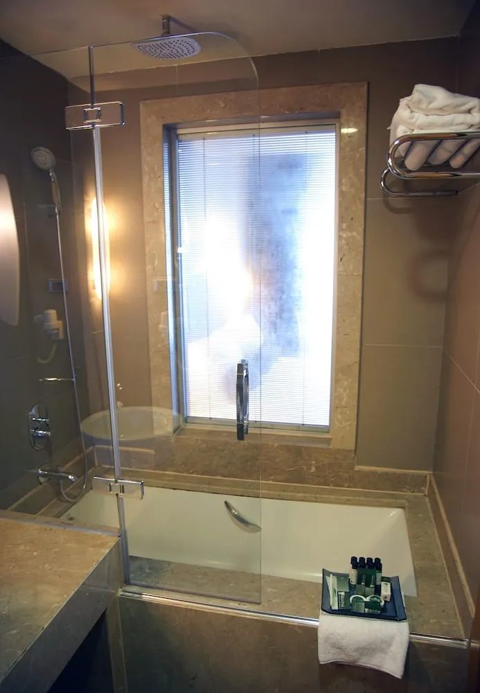 Standard Tek Büyük Yataklı Oda, Şehir Manzaralı