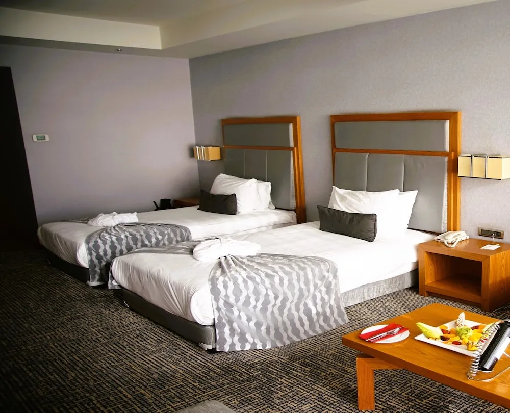 Standard İki Ayrı Yataklı Oda, Şehir Manzaralı