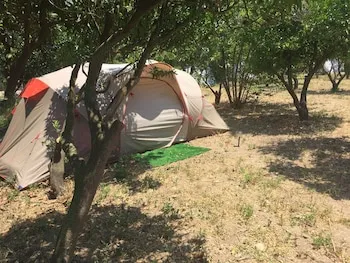 Bodrum Masalı Camping - Hostel