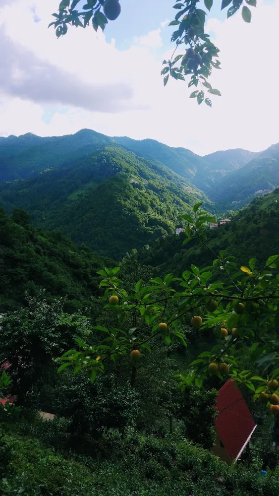 Family Bungalov, Bahçe Manzaralı