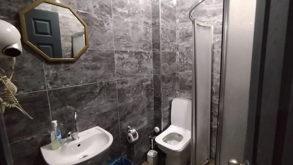 1 Bed in 8-Bed Mixed Dormitory