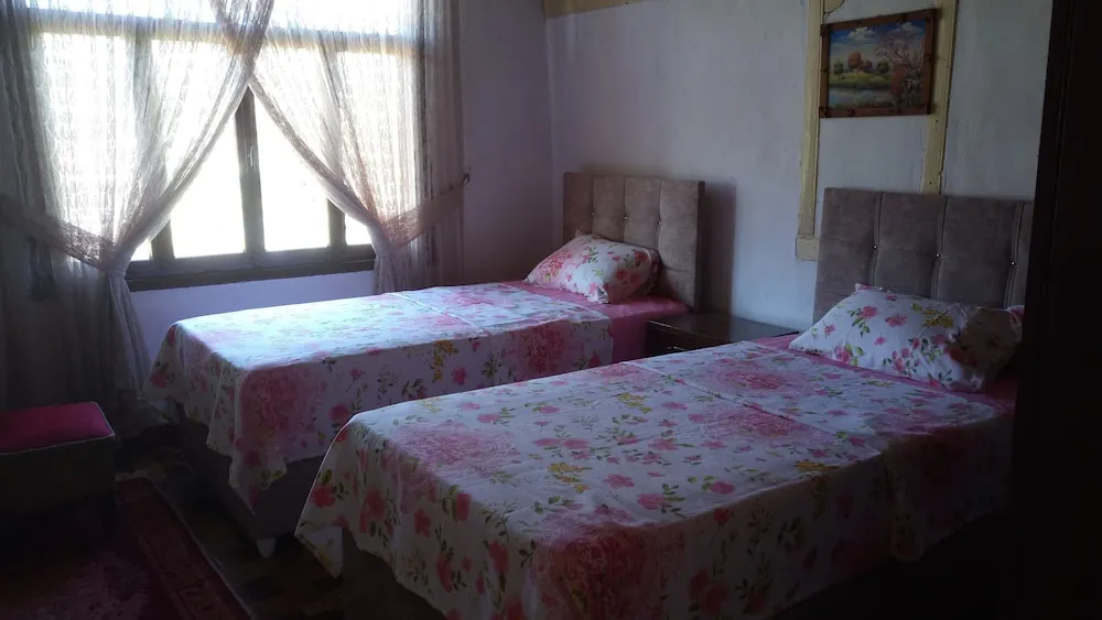 Economy İki Ayrı Yataklı Oda, Sigara İçilmez, Şehir Manzaralı