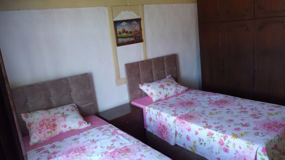 Economy İki Ayrı Yataklı Oda, Sigara İçilmez, Şehir Manzaralı