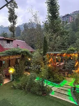 Nehir Bungalows