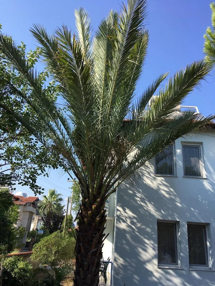 Günaydın Apart & House