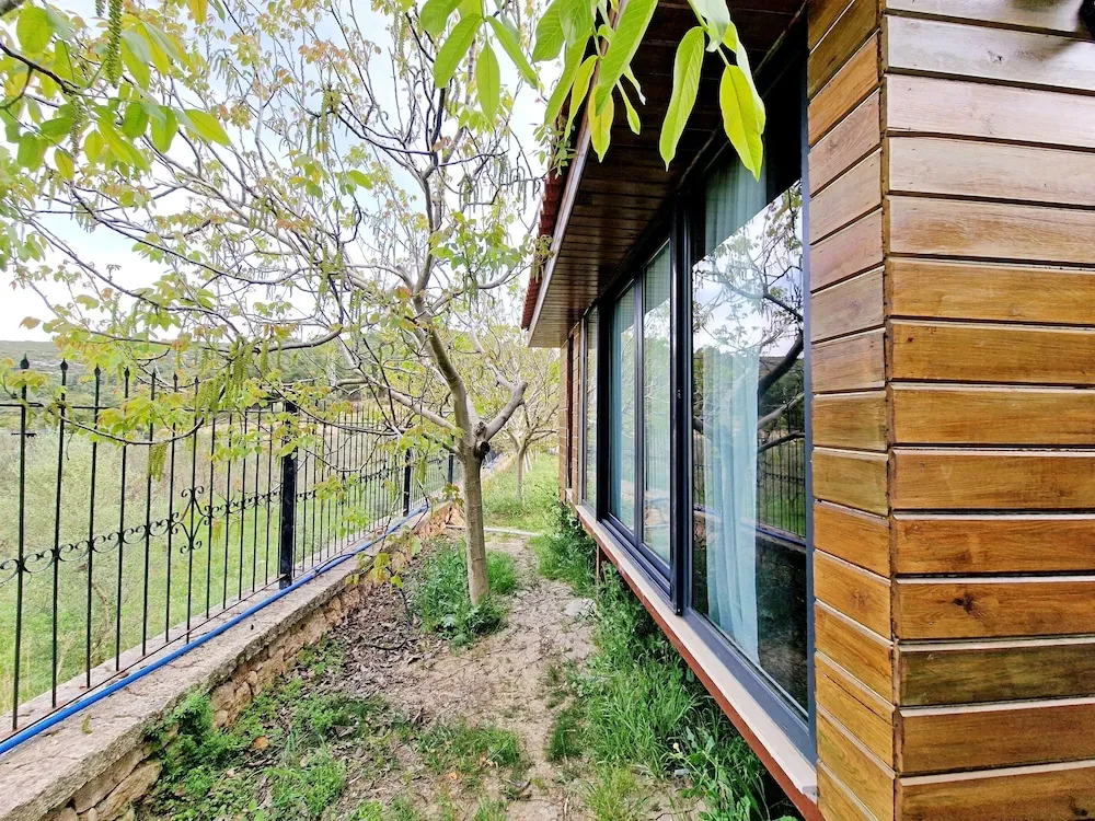 Elite Süit