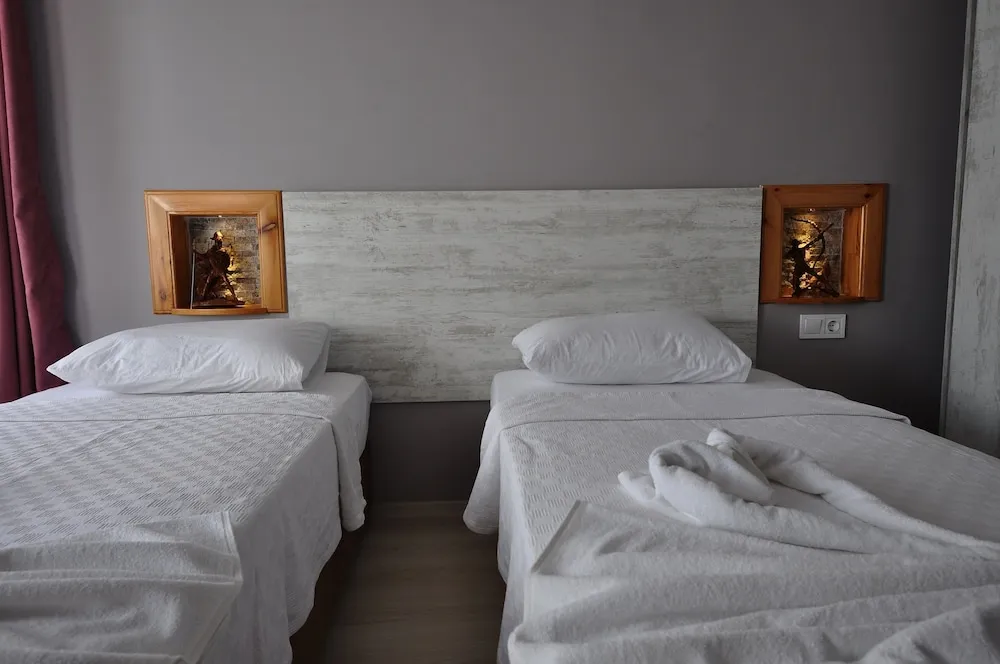 Deluxe Tek Büyük veya İki Ayrı Yataklı Oda