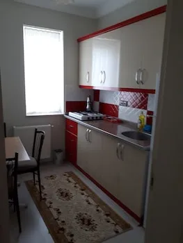 DİRİLİŞ BANARYA PANSİYON