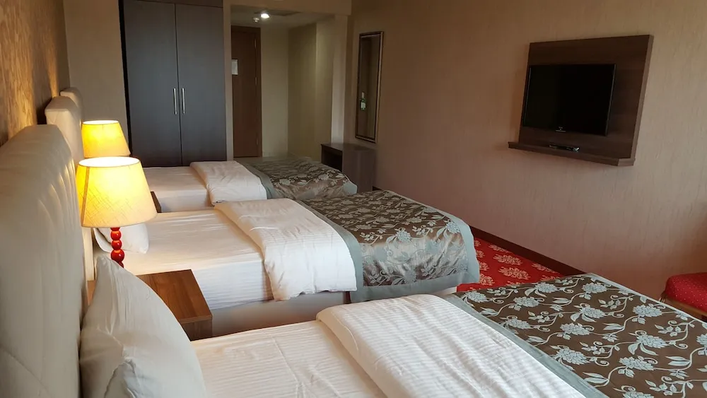 Standard Üç Kişilik Oda, 3 Tek Kişilik Yatak, Şehir Manzaralı