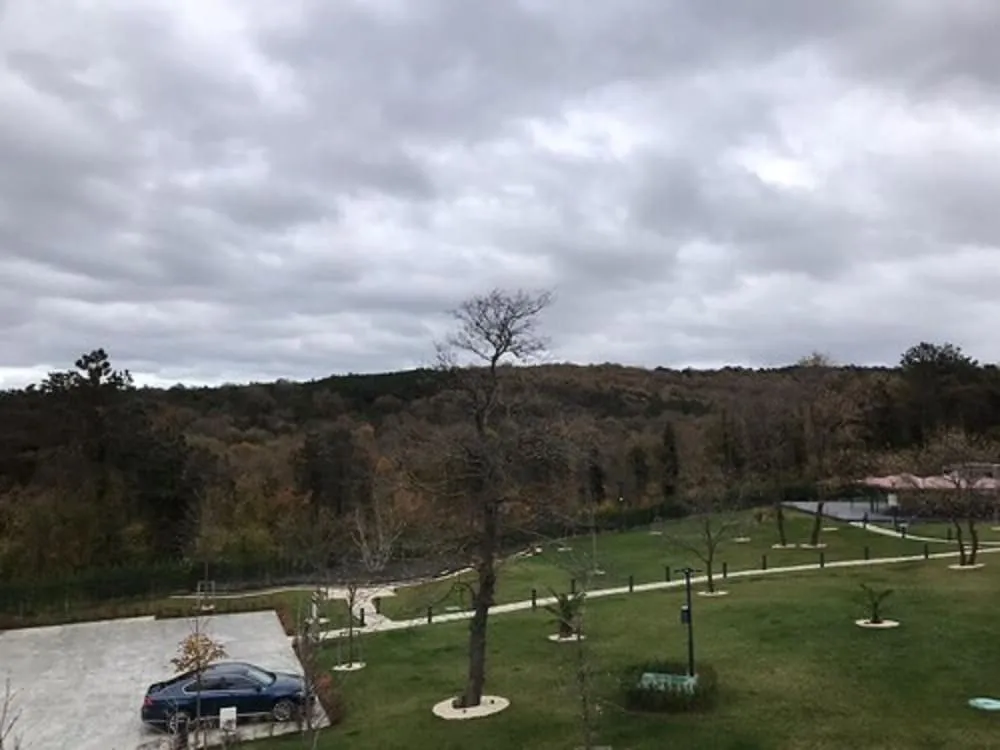 Standart Panoramic Room