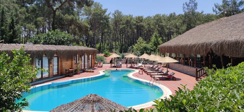 Standard Room, Pool View 6