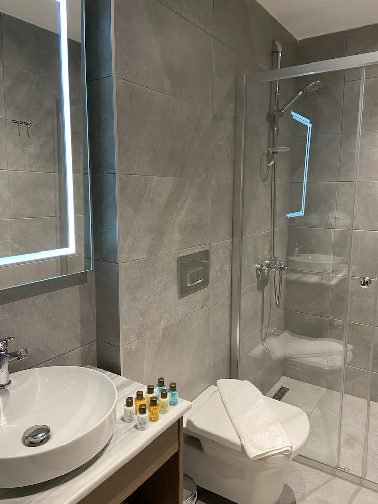 Economy Tek Büyük Yataklı Oda, Şehir Manzaralı