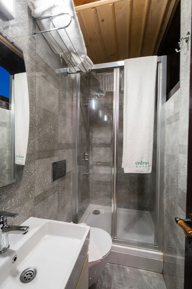 Deluxe Tek Büyük Yataklı Oda, Şehir Manzaralı