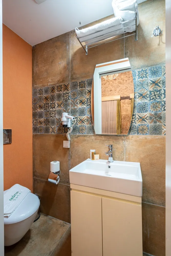 Superior Tek Büyük Yataklı Oda, Şehir Manzaralı