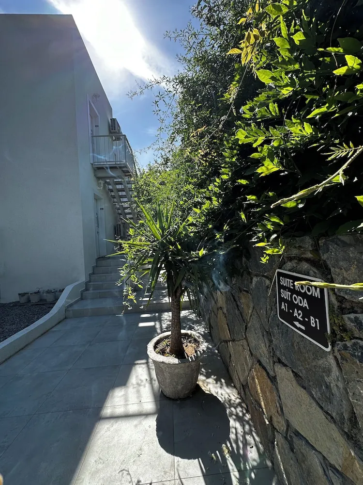 Stüdyo Süit, 1 Büyük (Queen) Boy Yatak ve Çekyat, Balkon, Ek Bina