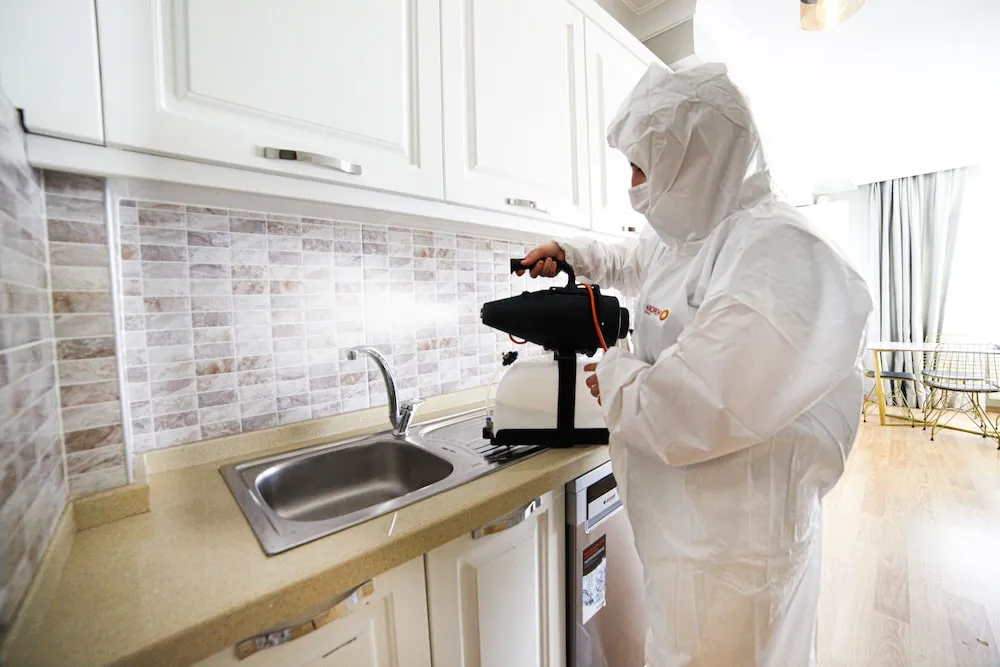 Duplex Apartment with Garden