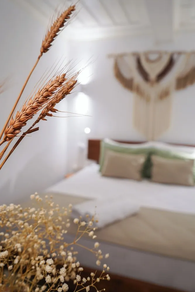 Deluxe Tek Büyük Yataklı Oda, Bahçe Manzaralı