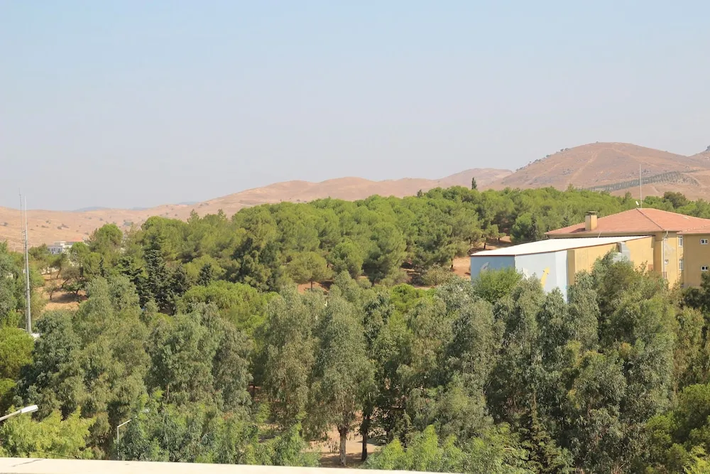 Deluxe Stüdyo Süit