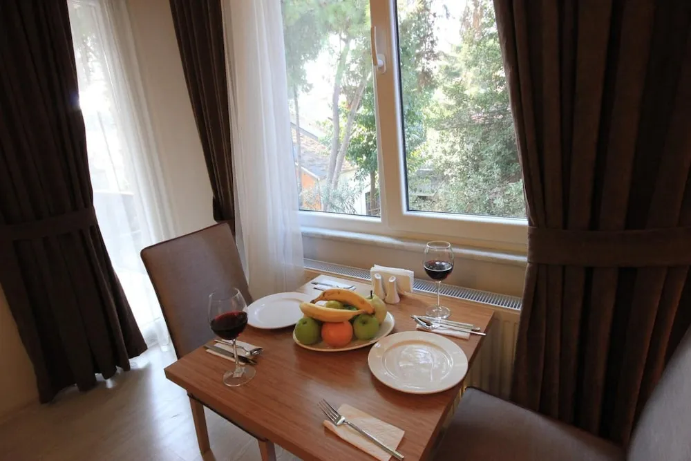 Comfort Apart Daire, 1 Büyük (Queen) Boy Yatak ve Çekyat, Şehir Manzaralı